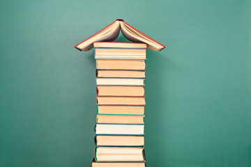 大班主题教案《动物世界》