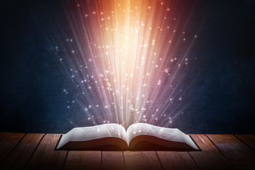 大班主题教案《动物世界》