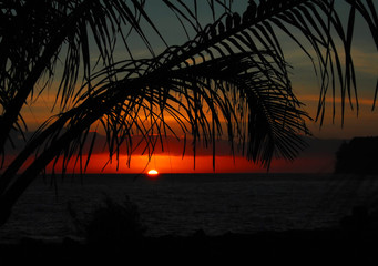新年开学寄语幼儿园