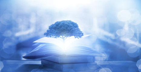 长安新款5万一8万车