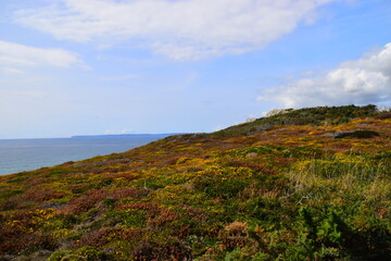 为什么要做刹车油更换？