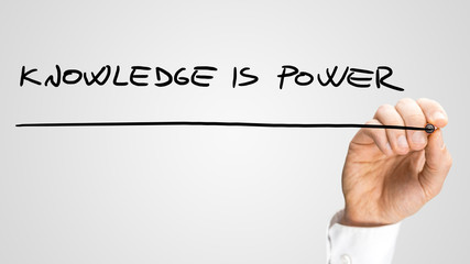 从宣化红十字医院到洋河南大桥坐几路公交车