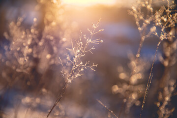 标致4008国VI落地需要多少钱？