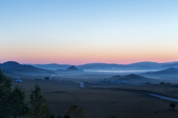 大班主题教案《动物世界》