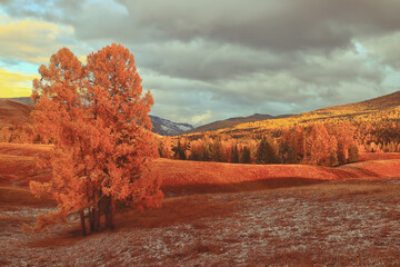 铃木全新小型suv