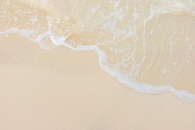 青岛有哪些网红？