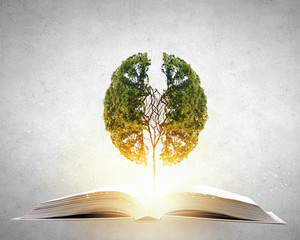 从宣化红十字医院到洋河南大桥坐几路公交车