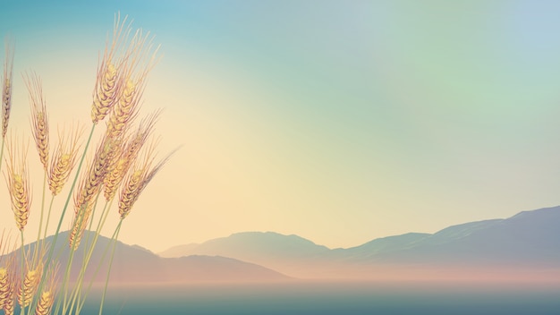 青岛有哪些网红？