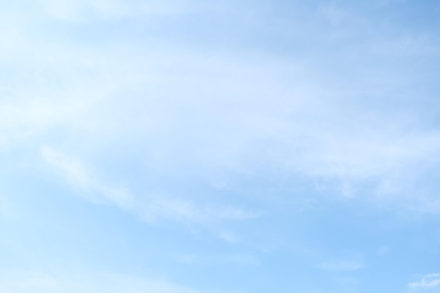 青岛有哪些网红？