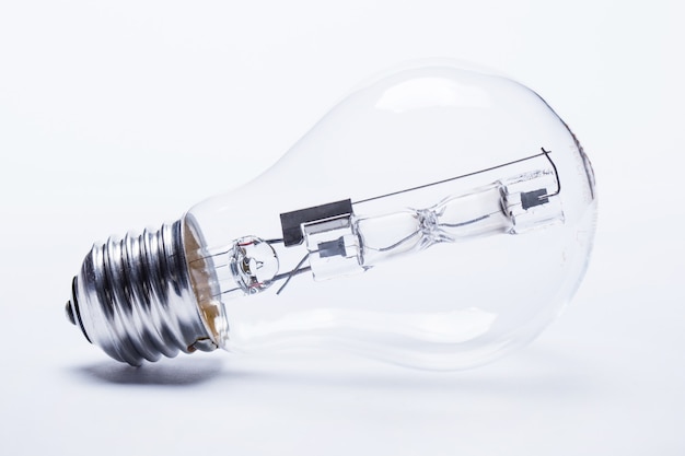 大班主题教案《动物世界》