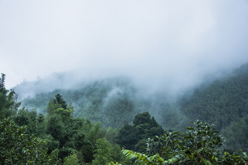 起亚kxcross买的人多吗